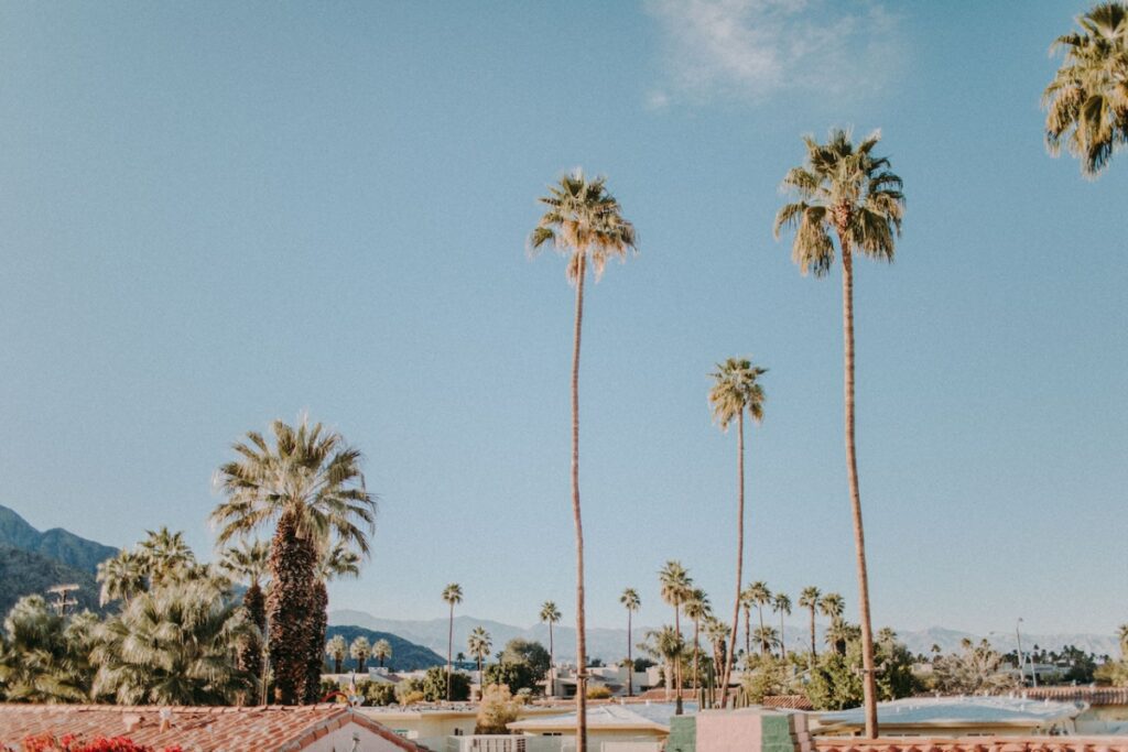 Palm Springs —An Oasis of Relaxation