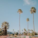Palm Springs (photo by Leah kelley)